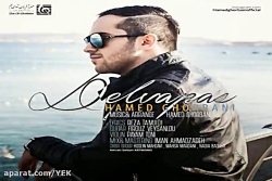 آهنگ حامد قربانی - دلواپس