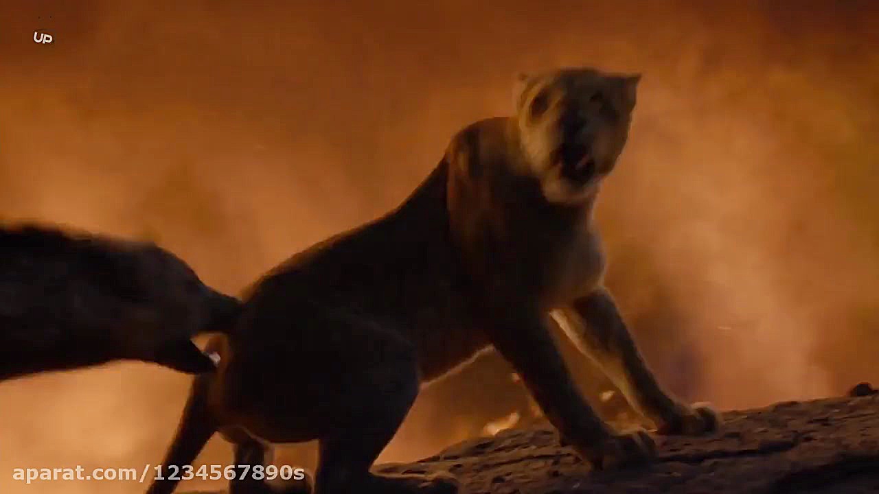 فیلم سینمایی : بسیار زیبا  هیجان انگیز و جذاب LION.KING زمان7095ثانیه