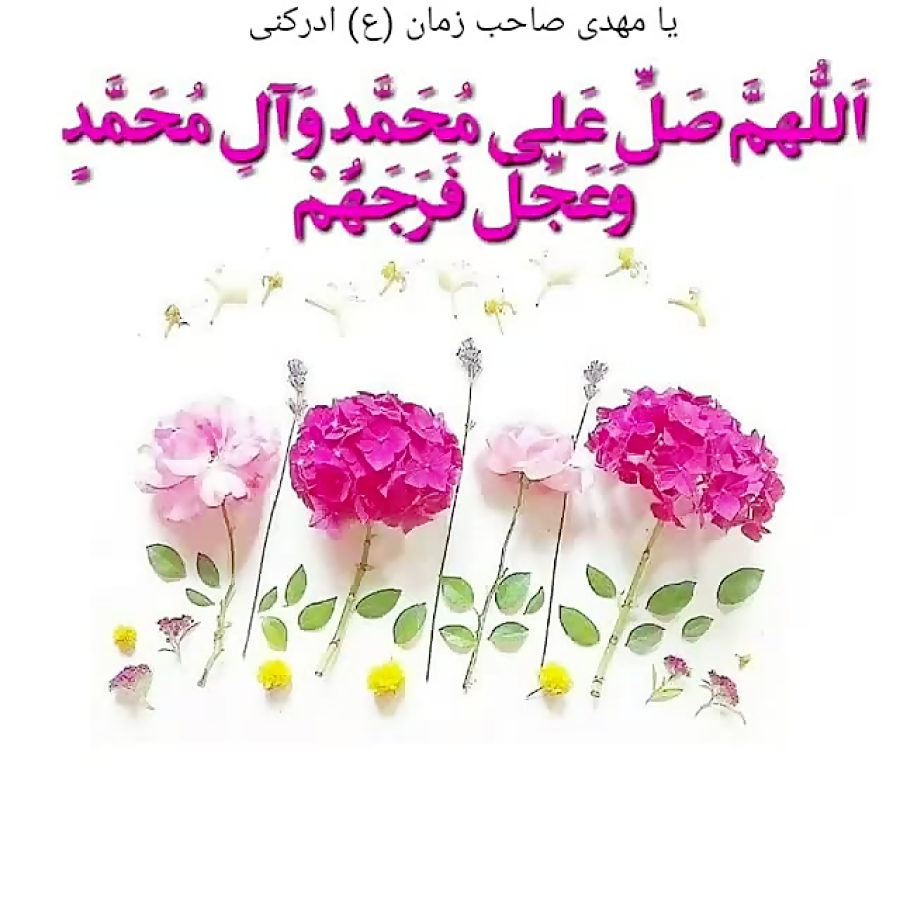 یا مهدی صاحب زمان (ع) ادرکنی