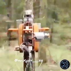 هرس کردن درختان