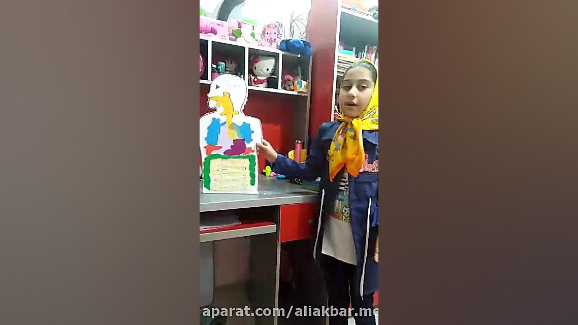 آموزش دستگاه گوارش با آناتومی خلاقانه توسط رعنا رنجبر دندان مصنوعی