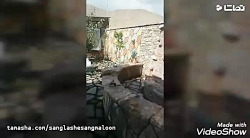 نصب سنگ لاشه سنگ مالون سنگ کوه...