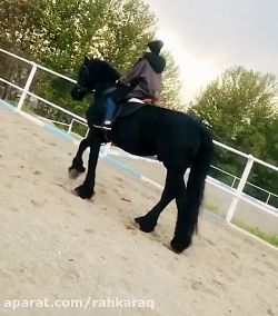 اسب سواری نیکا فرقانی(بازیگر پ...