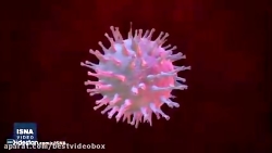 علت شیوع گسترده ویروس انفولانز...