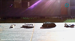 مستند  رفتارهای ناپسند حیوانات