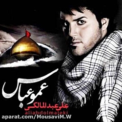 اهنگ علی عبدالمالکی یه عمو دار...