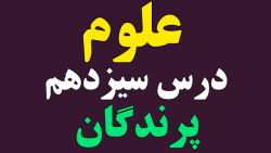 پرندگان، درس سیزدهم علوم سوم ابتدایی ، هر کدام جای خود (۲)