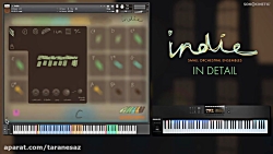 Indie - Tutorial - In Detail