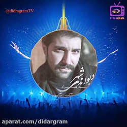 حمید هیراد آهنگ دیوانه شهر