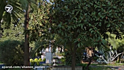 سریال سوگند(yemin) امیر و ریحا...