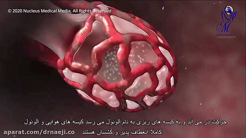 عملکرد ویروس کرونا دکتر صدیقه نائیجی | متخصص پوست و مو در قم