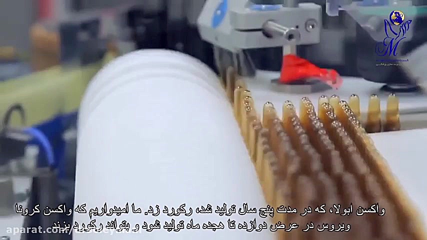 ویروس کرونا چگونه به بدن آسیب می رساند؟ دکتر امیر سلیمانی