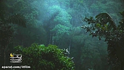 ﷽| تنهاترین بامداحی: حاج مهدی...