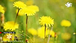 ترانه شاد " وقتشه " با صدای آق...