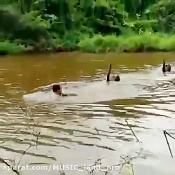 خلاصه اینکه وارد قلمرو قوها نش...