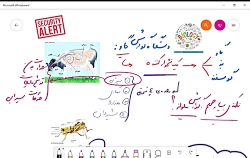 گاو و ملخ ، دو جانور مهم کنکور...