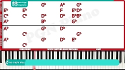 آموزش مبتدی پیانو و نت خوانی پ...