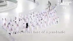 تصاویری جدید از نماز مسلمانان...