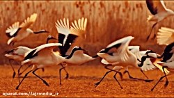 دعای روز پنجم ماه مبارک رمضان