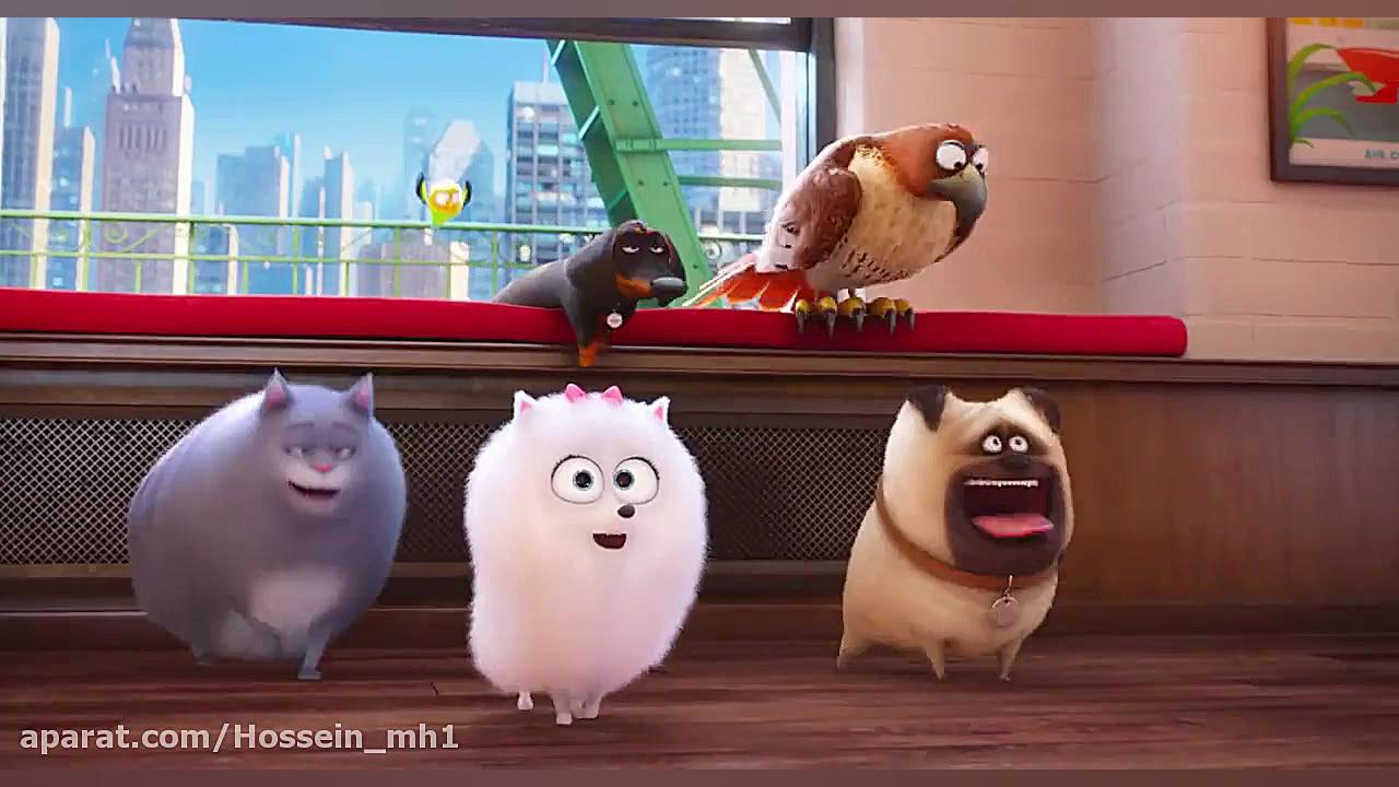 انیمیشن سینمایی The Secret Life of Pets(۱) ۲۰۱۶ [زندگی مخفی حیوانات] دوبله فارسی زمان5187ثانیه