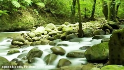 آهنگ آرامش بخش | خواب، مطالعه،...