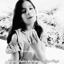 دنبال کسی باش که دنبال تو باشد