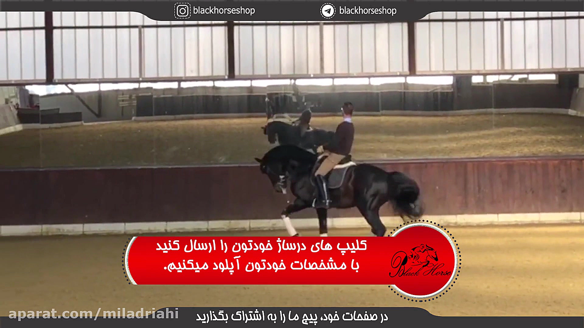 درساژ اسب زمان27ثانیه