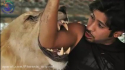 حیوانات خانگی خطرناک ؟؟ || کلی...