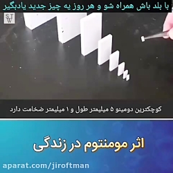 فیزیک و زندگی