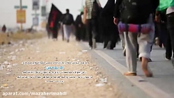 زائر امام حسین علیه السلام