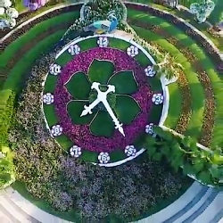 عشق،عشق و باز هم عشق طبیعت