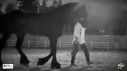 دانلود آهنگ جدید امیر عباس گلا...