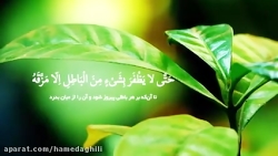 دعای عهد با امام زمان (عج)