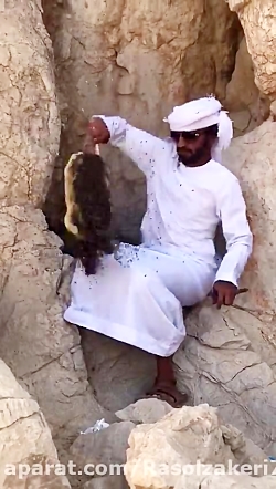 ب این میگن عسل