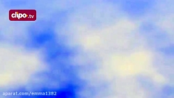 ​جوجه عقاب زشت..!