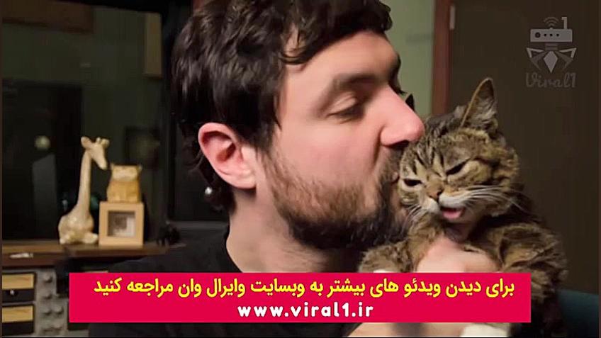 معرفی گربه معروف یوتیوب لیل باب با زیرنویس فارسی > وایرال وان زمان149ثانیه