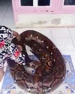 یه زمانی مار برای خودش ابهت و...