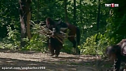 سکانس احساسی سریال ارطغرل با ب...