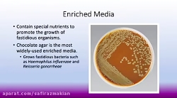 محیط کشت چیست و از کجا بخریم ؟