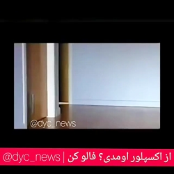 این گربه ها مثل کپسول نیتروژن...