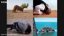 اهنگ هرجای دنیایی دلم اونجاست...