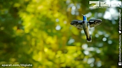 فیلمبرداری از میلیون ها پروانه...