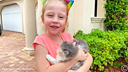 ناستیا و بچه گربه های ملوس ::...