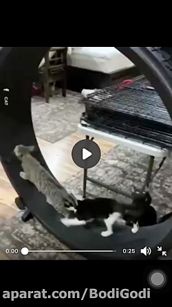 كليپ خنده دار