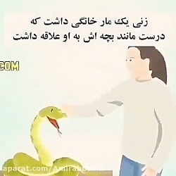 زنی یک مار خانگی داشت که درست...