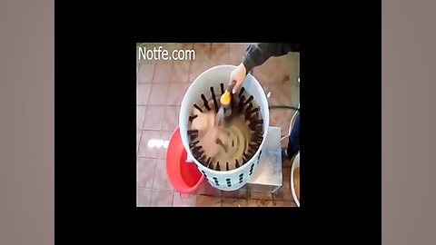 پرکن مرغ،مرغ پرکن،دستگاه پرکن مرغ و بلدرچین و بوقلمون کاور آهنگ