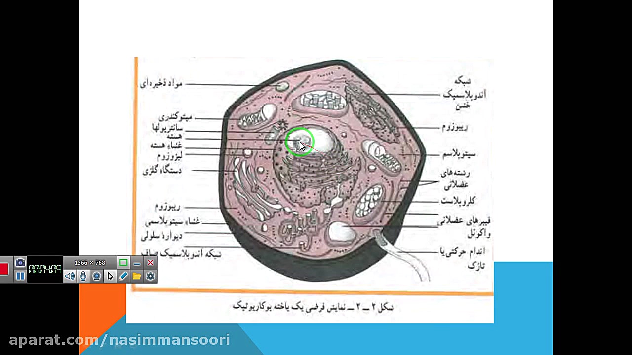 جلسه دوم میکروبیولوژی مواد غذایی برداشتن خال