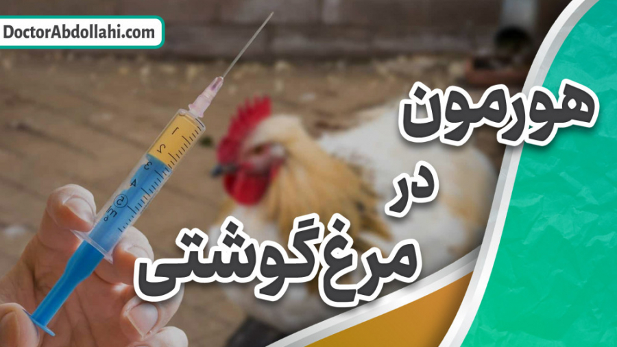 عدم استفاده از هورمون در پرورش مرغ گوشتی دکتر محمد مهدی عبدالهی (دامپزشک)