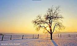 چگونه در آزمون فا ، آزمون آنلا...