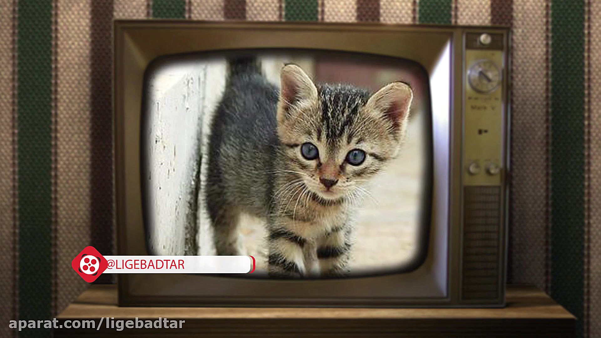 ligebadtar